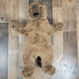 Rare Vintage '95 Mary Daub Brown Jointed Articulated Bear 19/50 Realistic Signed